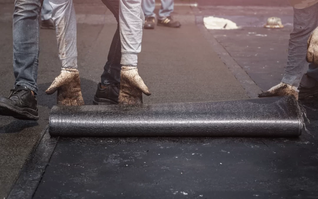 Cara Memilih Geomembrane untuk Tambak Udang Merek Urban Plastic