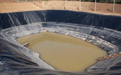 Aplikasi Geomembrane di Tambak Ikan Nila di Ciseeng, Bogor untuk Setiap Fase Pembibitan